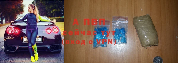 прущие грибы Абдулино