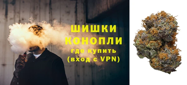 прущие грибы Абдулино