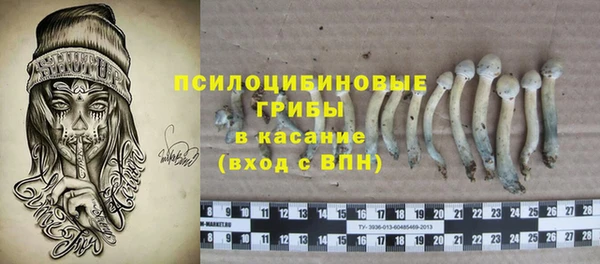 бошки Абинск