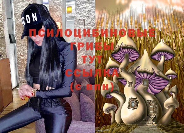 бошки Абинск