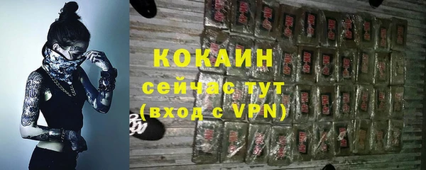 прущие грибы Абдулино