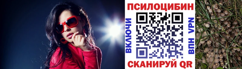 shop клад  Приволжск  Галлюциногенные грибы Psilocybine cubensis  дарнет шоп 