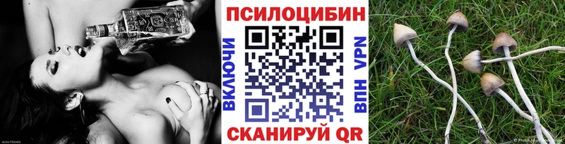 Галлюциногенные грибы GOLDEN TEACHER Приволжск